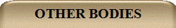 OTHER BODIES